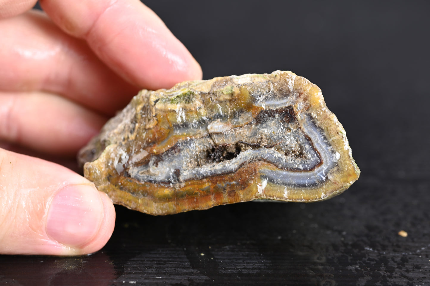 Türkisches Achatisiertes Holz für 50€ pro Stück