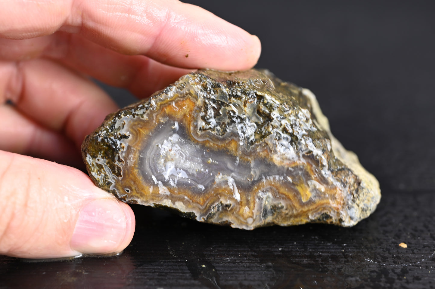 Türkisches Achatisiertes Holz für 50€ pro Stück