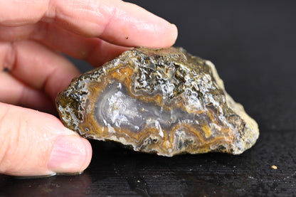 Türkisches Achatisiertes Holz für 50€ pro Stück