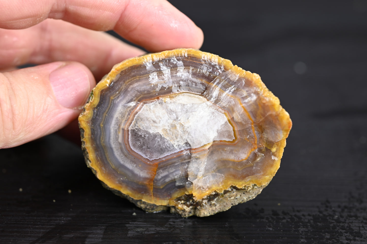 Türkisches Achatisiertes Holz für 75€ pro Stück