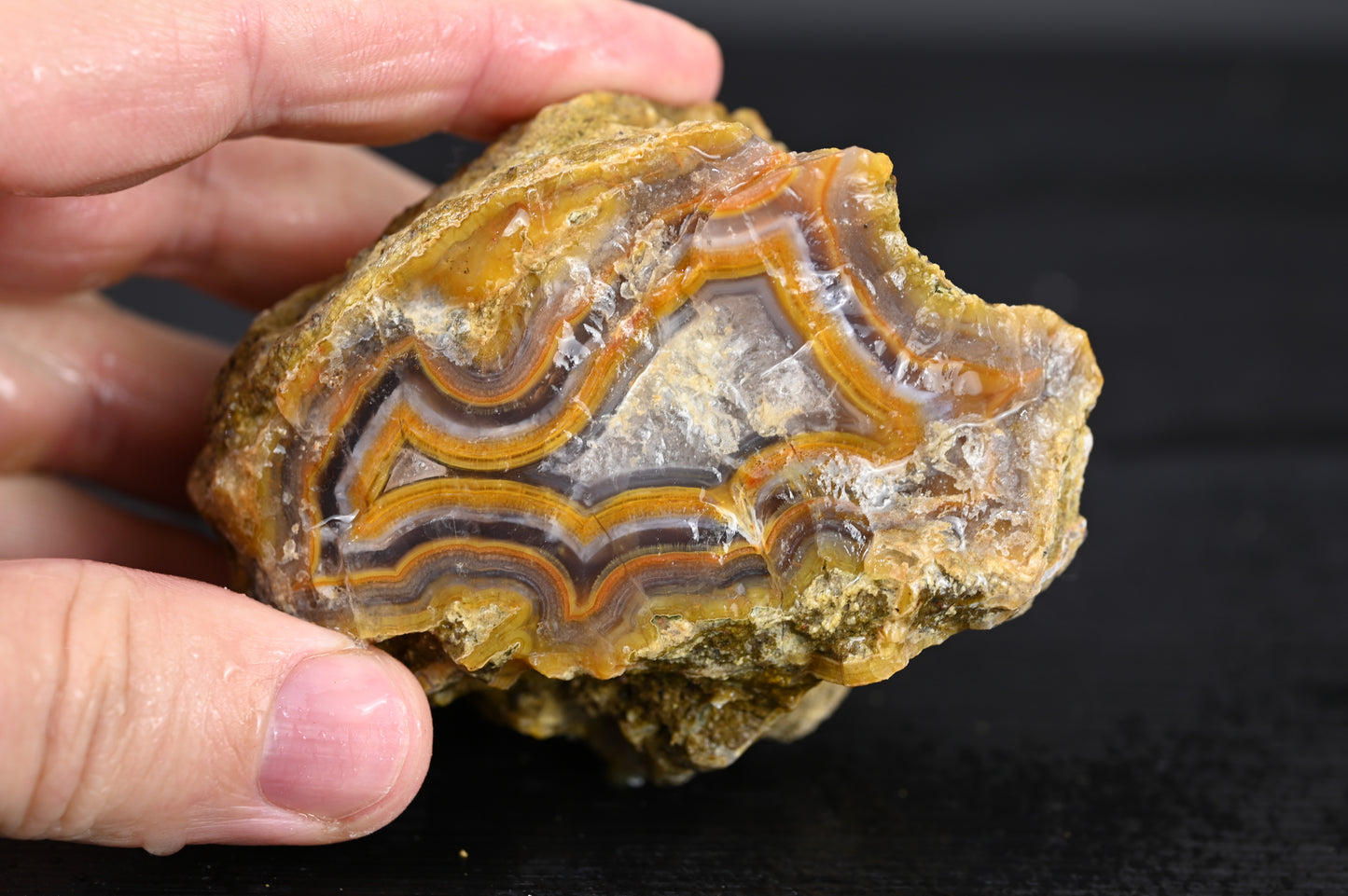 Türkisches Achatisiertes Holz für 75€ pro Stück