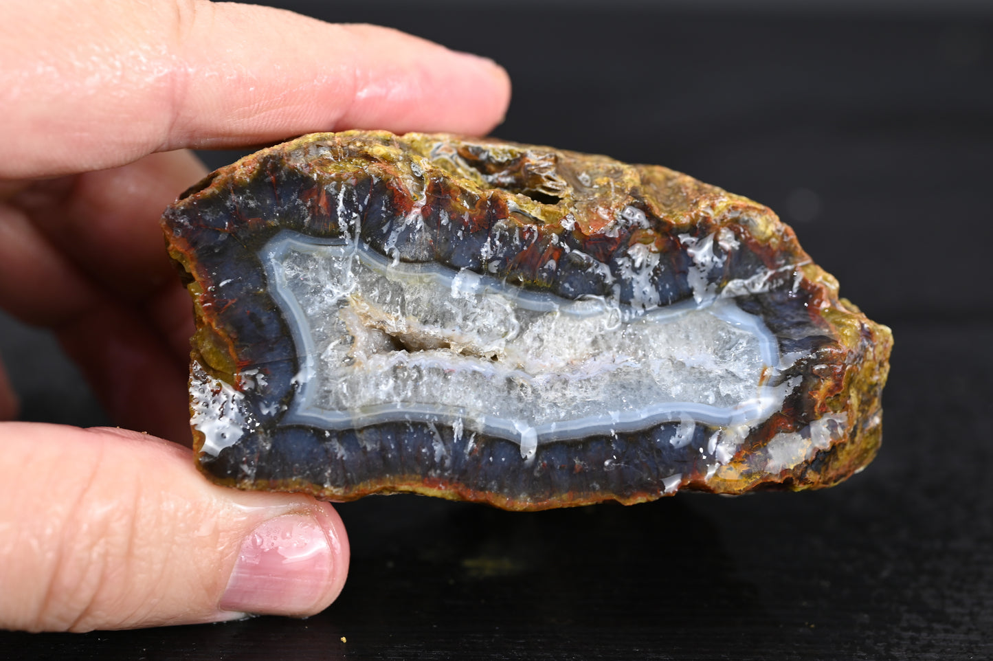 Türkisches Achatisiertes Holz für 75€ pro Stück