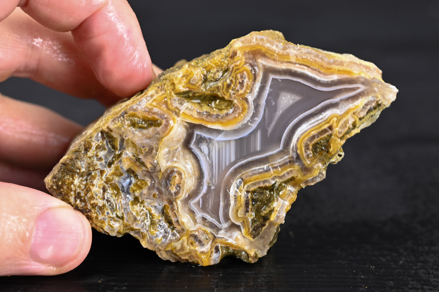 Türkisches Achatisiertes Holz für 75€ pro Stück