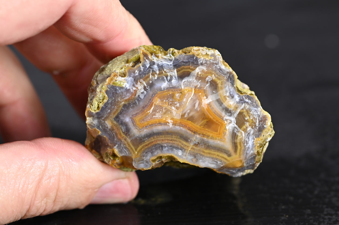 Türkisches Achatisiertes Holz für 75€ pro Stück