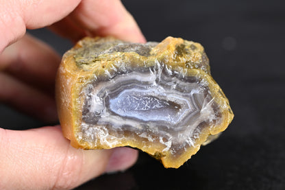 Türkisches Achatisiertes Holz für 75€ pro Stück