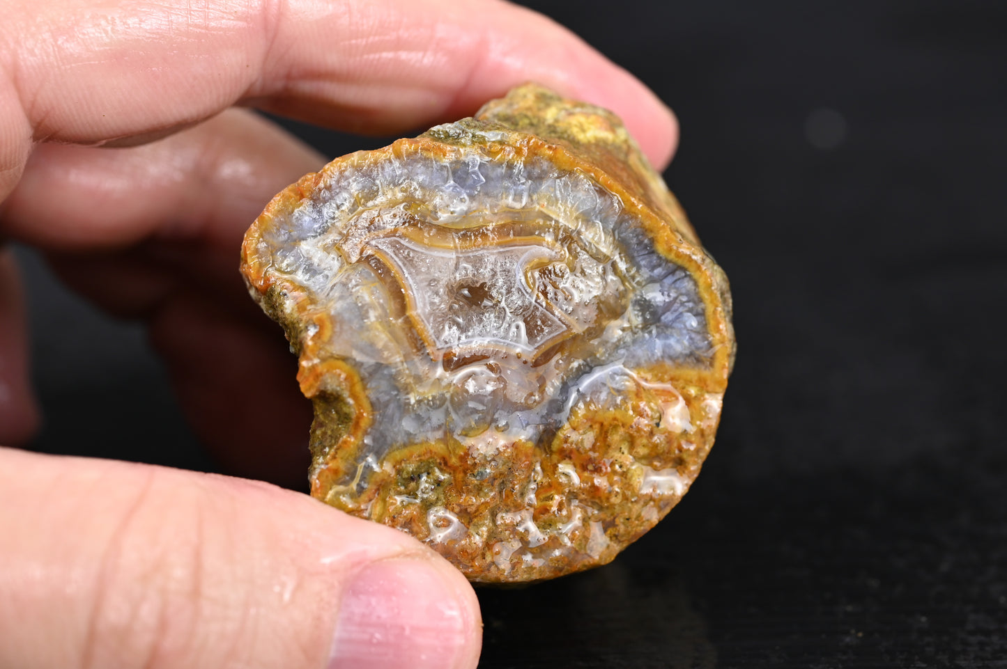 Türkisches Achatisiertes Holz für 75€ pro Stück