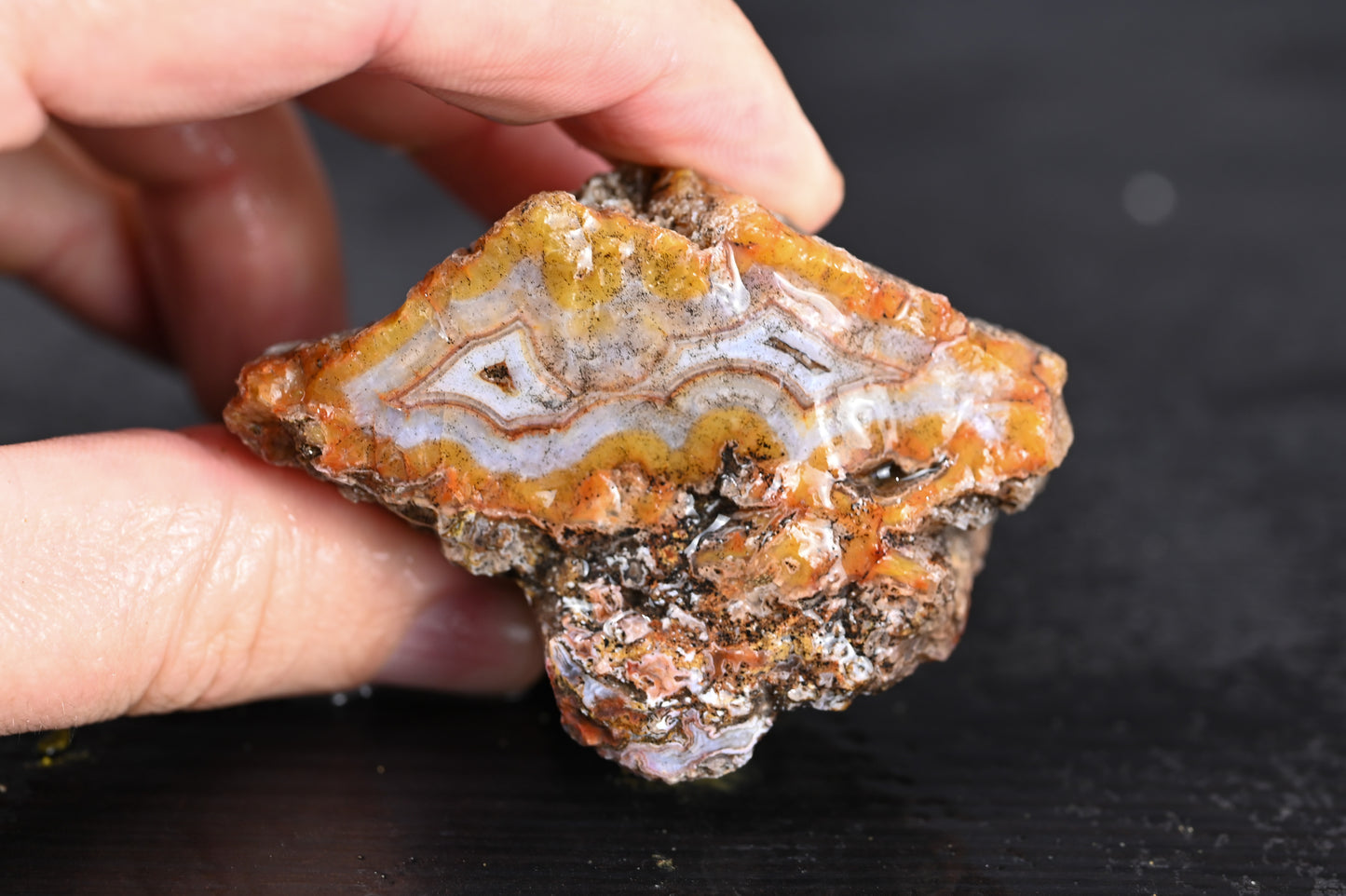 Türkisches Achatisiertes Holz für 75€ pro Stück