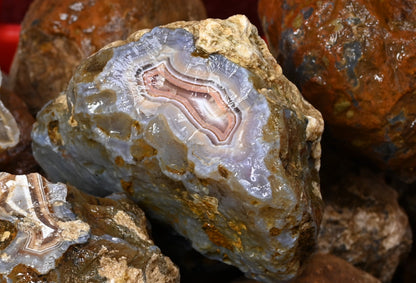 Malawi 1970ies Achate Premium 5kg