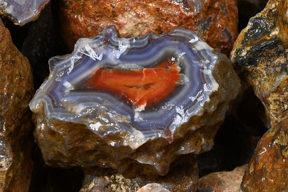 Malawi 1970ies Achate Premium 5kg