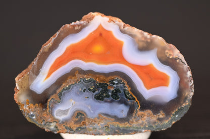 Malawi "Membrane Curls"