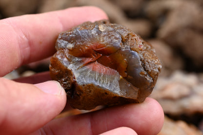 Rohachate Malawi Ngabu Mix