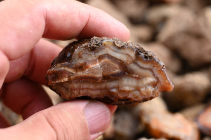 Rohachate Malawi Ngabu Mix