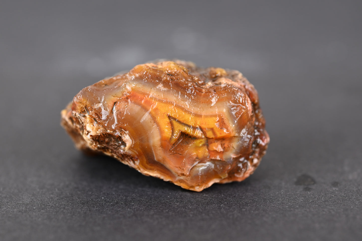 Rohachate Alimajo XL