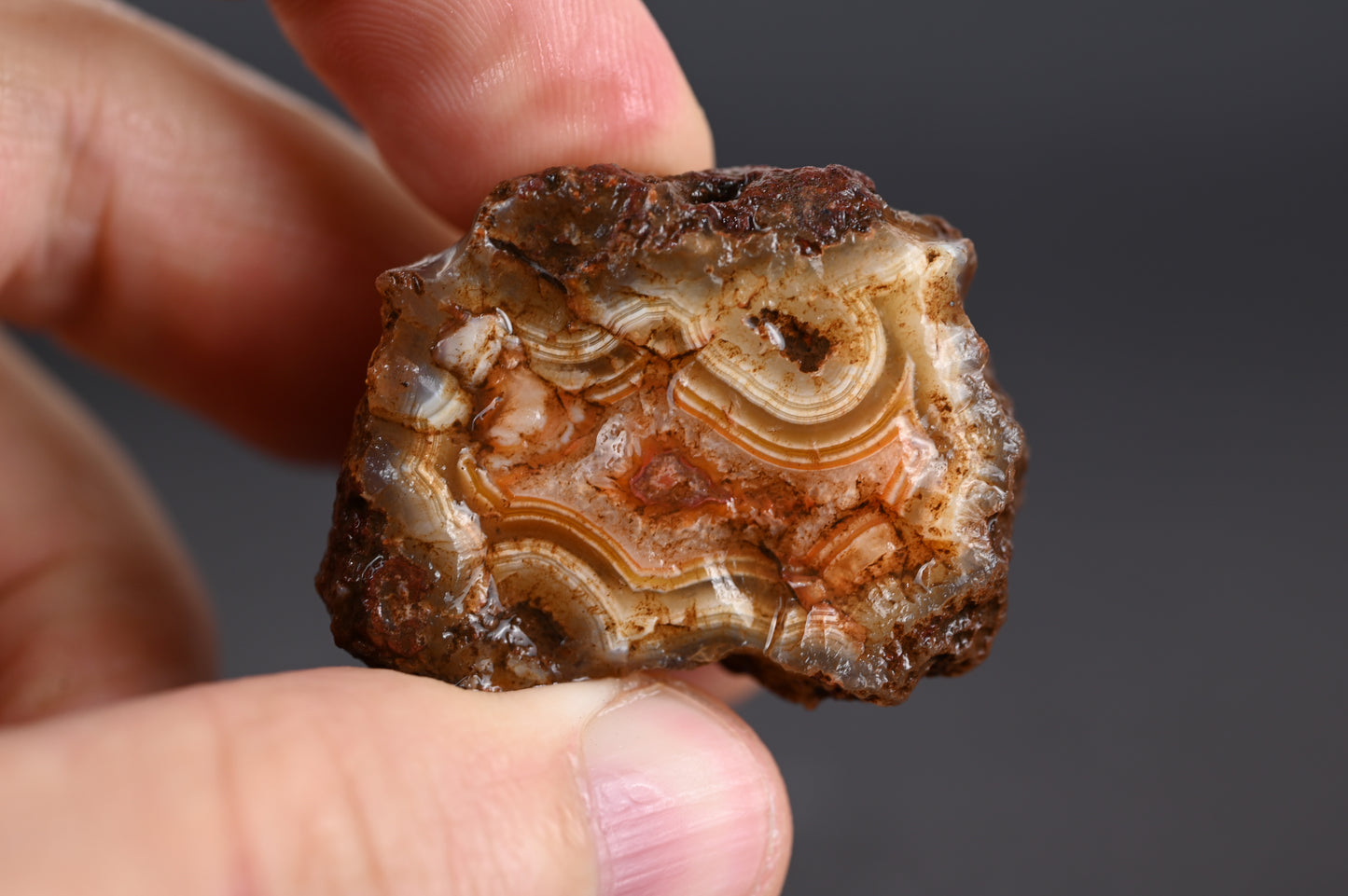 3kg Rohachate Alimajo XL