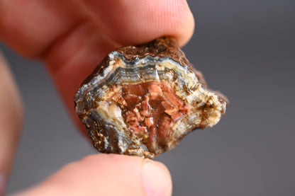 3kg Rohachate Alimajo XL