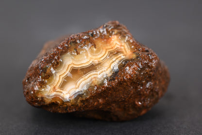 Rohachate Alimajo XL