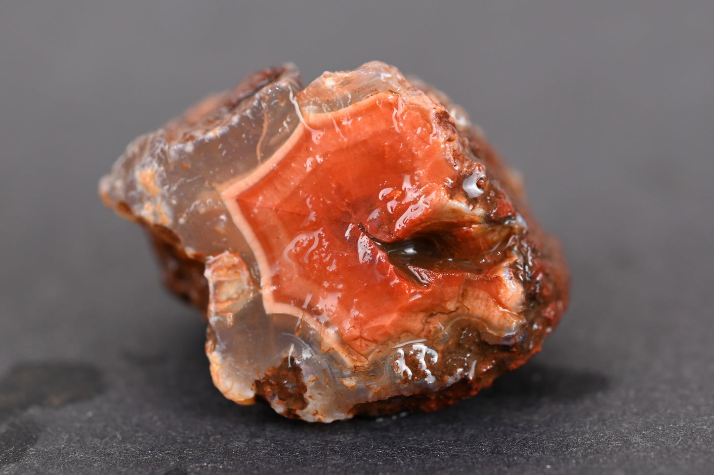 Rohachate Alimajo XL