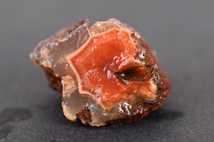 5kg Rohachate Alimajo XL