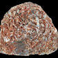 Malawi