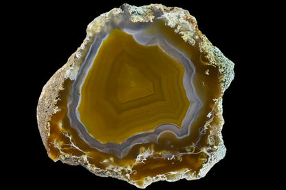 Mongolei