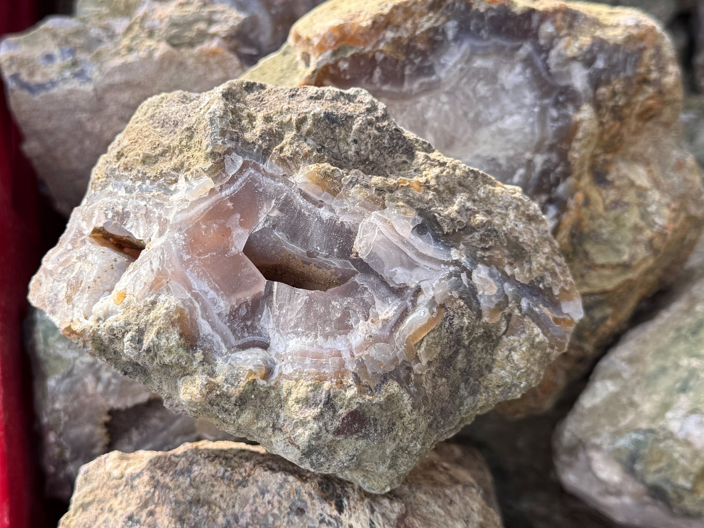 Türkei Limbcast Lapidary