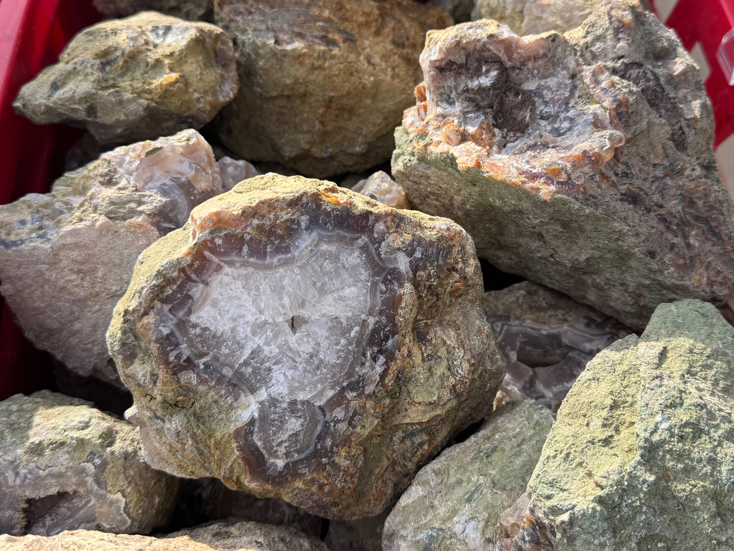 Türkei Limbcast Lapidary