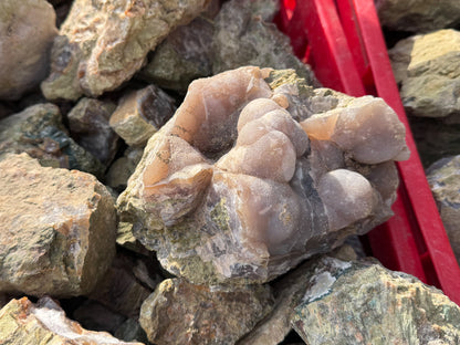 Türkei Limbcast Lapidary