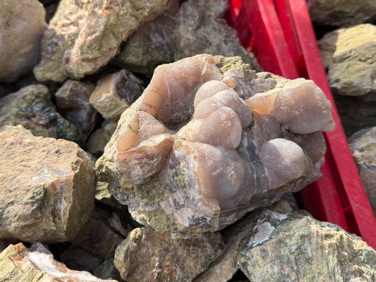 Türkei Limbcast Lapidary