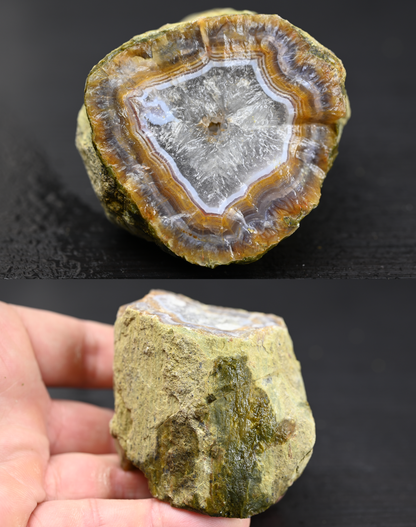 Türkisches Achatisiertes Holz für 100€ pro Stück