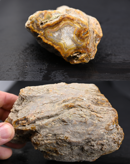 Türkisches Achatisiertes Holz für 100€ pro Stück