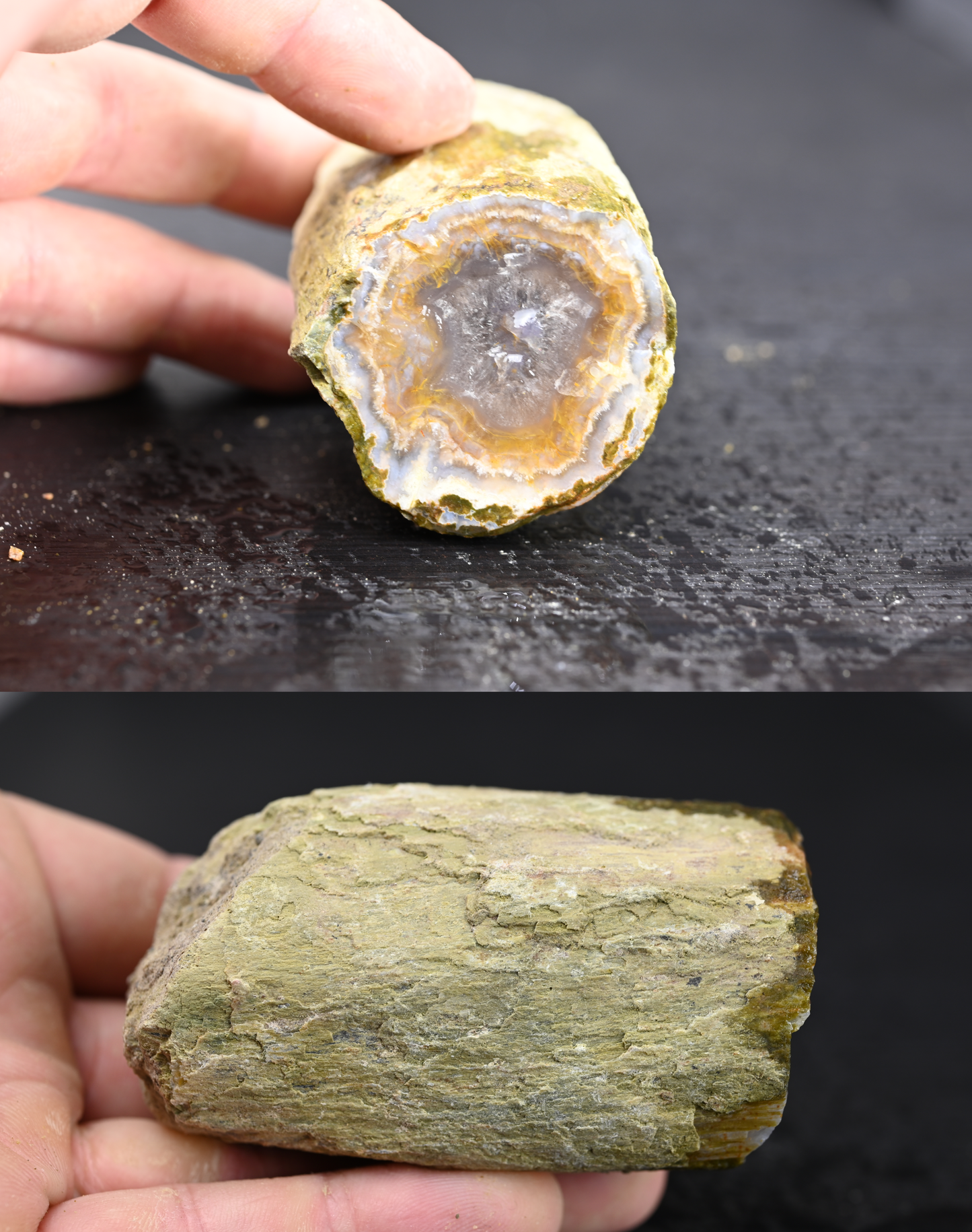 Türkisches Achatisiertes Holz für 100€ pro Stück