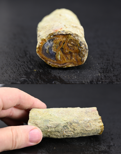 Türkisches Achatisiertes Holz für 100€ pro Stück