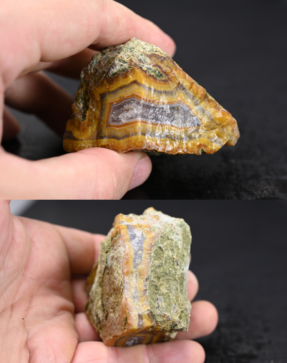 Türkisches Achatisiertes Holz für 100€ pro Stück