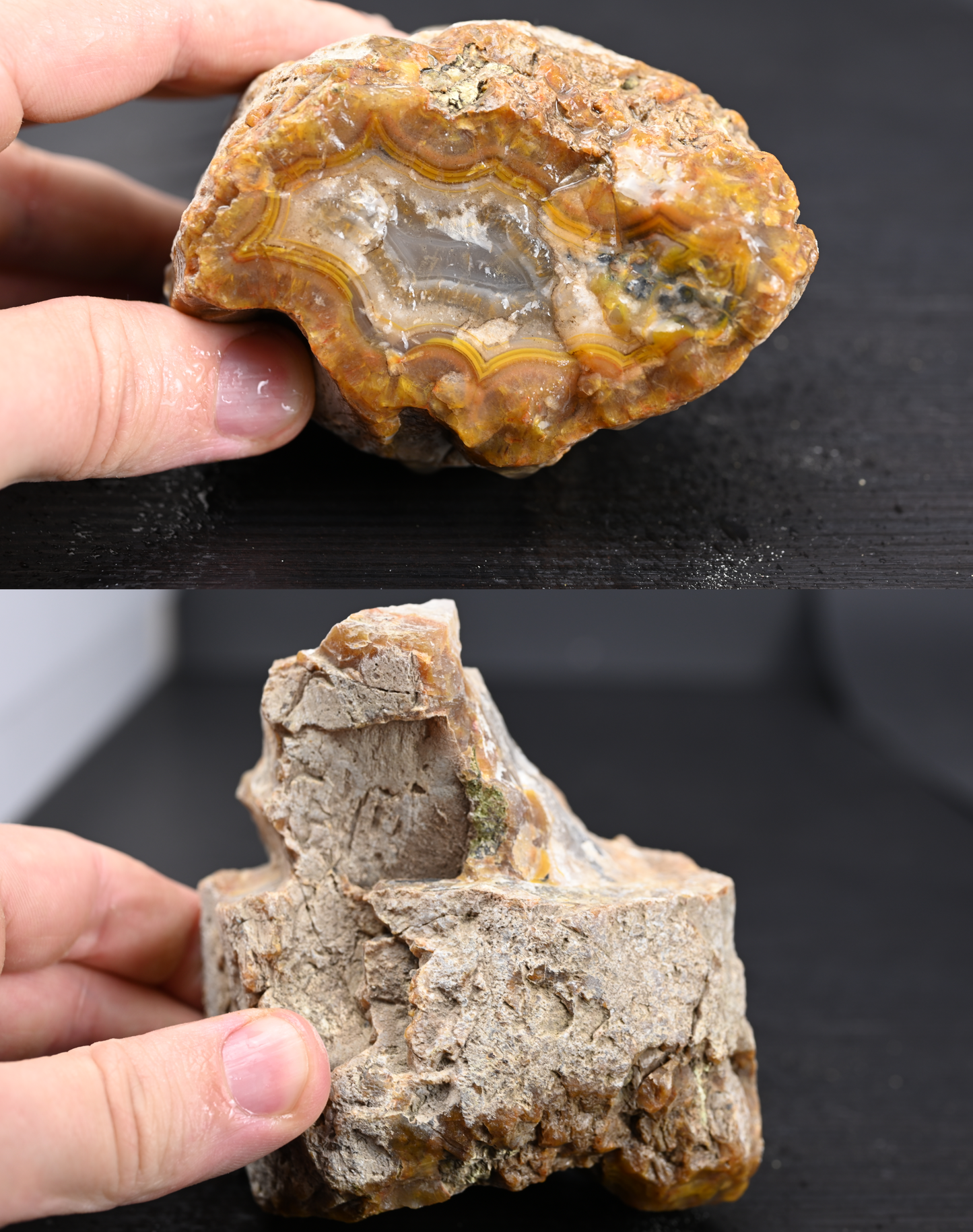 Türkisches Achatisiertes Holz für 100€ pro Stück