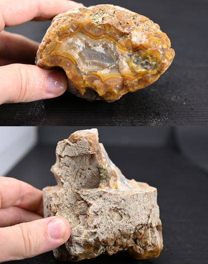 Türkisches Achatisiertes Holz für 100€ pro Stück