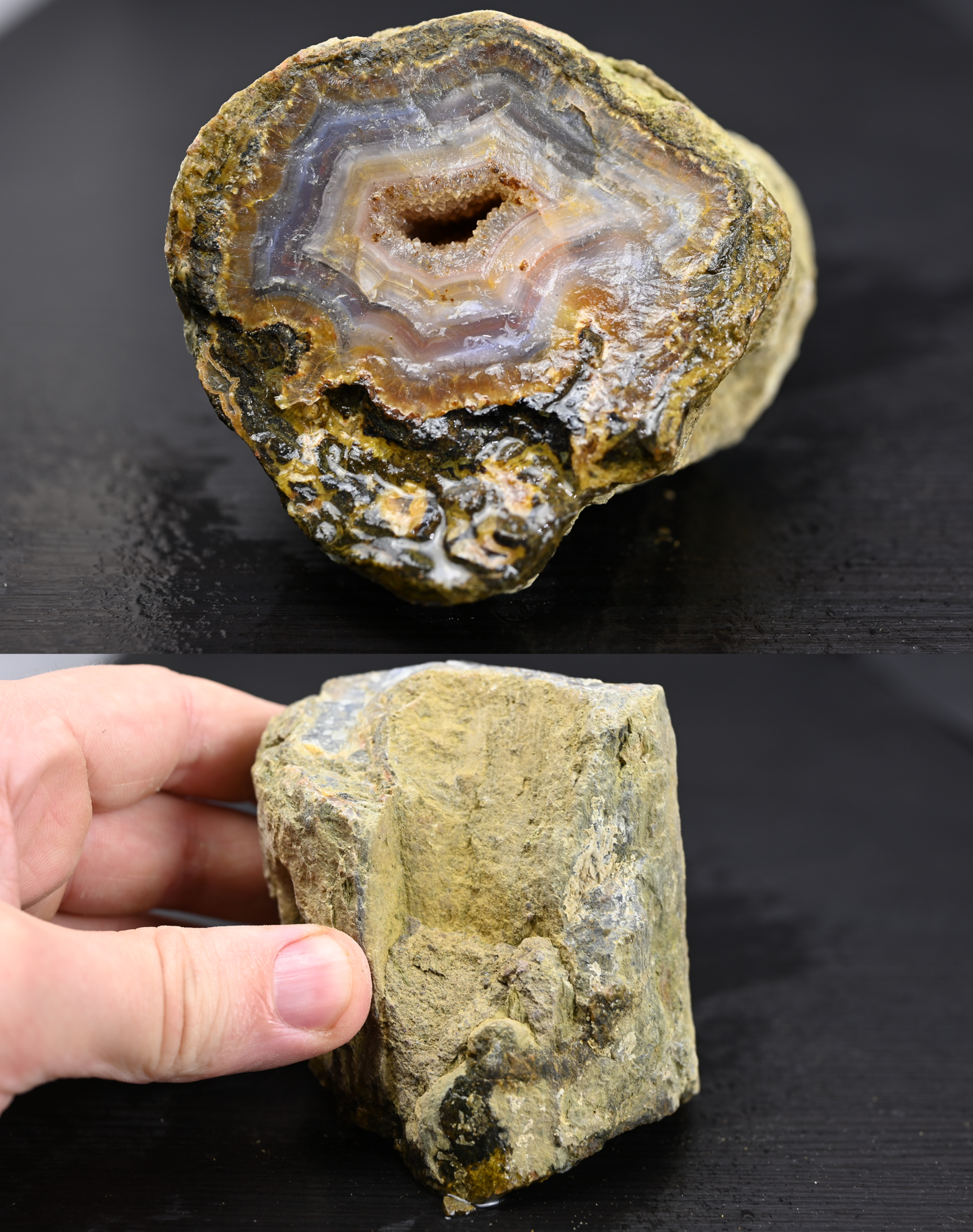 Türkisches Achatisiertes Holz für 100€ pro Stück