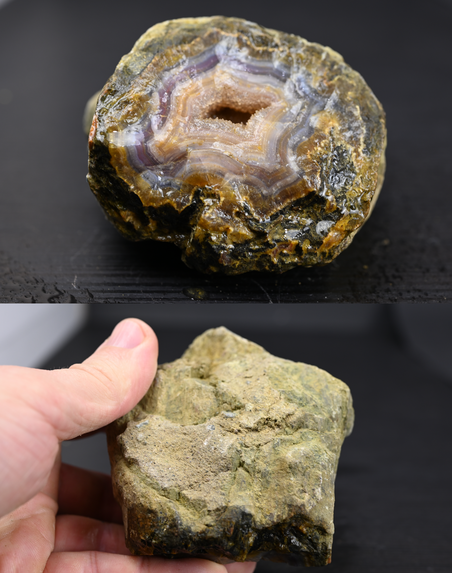 Türkisches Achatisiertes Holz für 100€ pro Stück