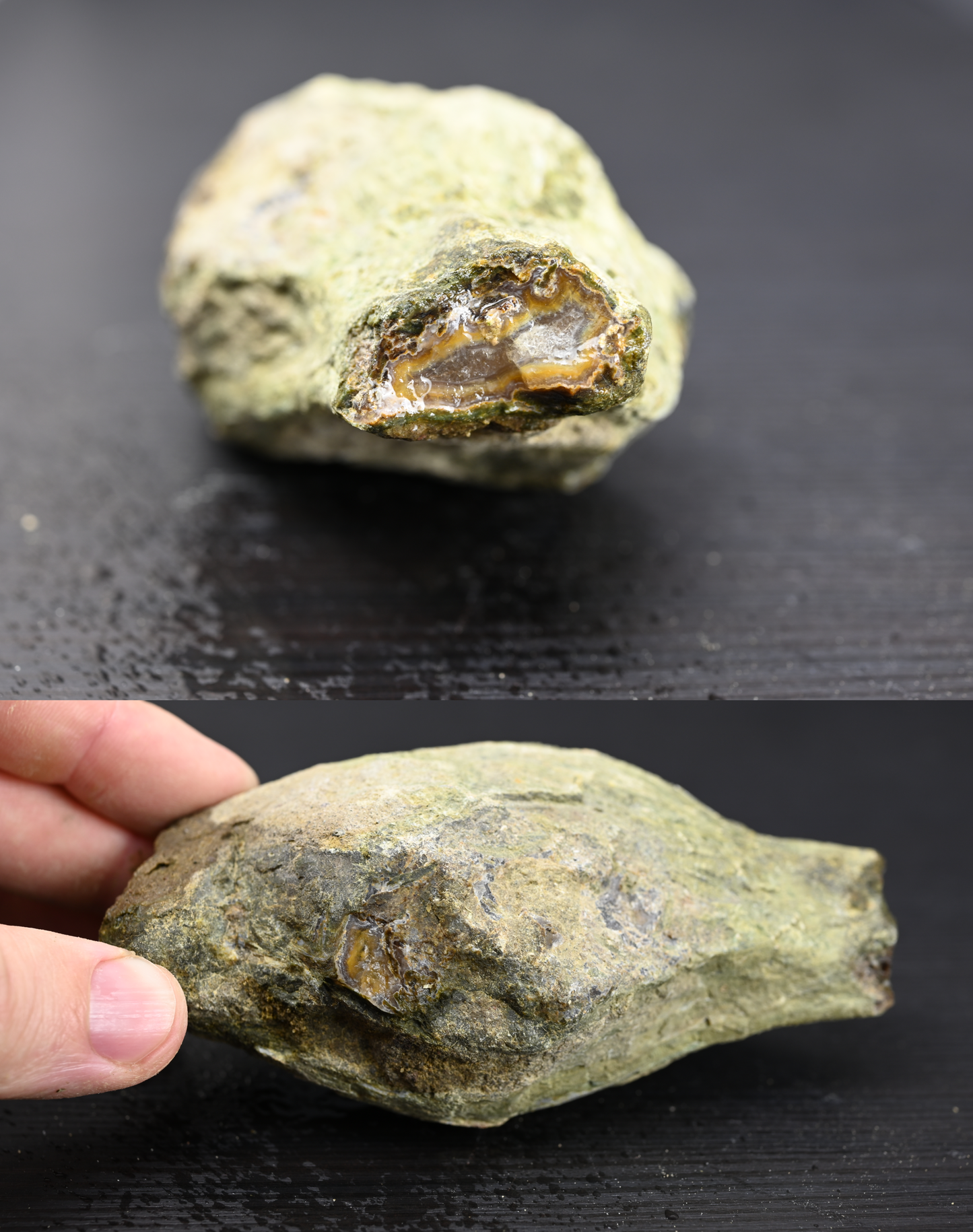 Türkisches Achatisiertes Holz für 100€ pro Stück