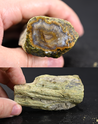 Türkisches Achatisiertes Holz für 100€ pro Stück