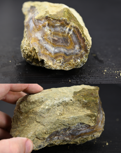 Türkisches Achatisiertes Holz für 100€ pro Stück