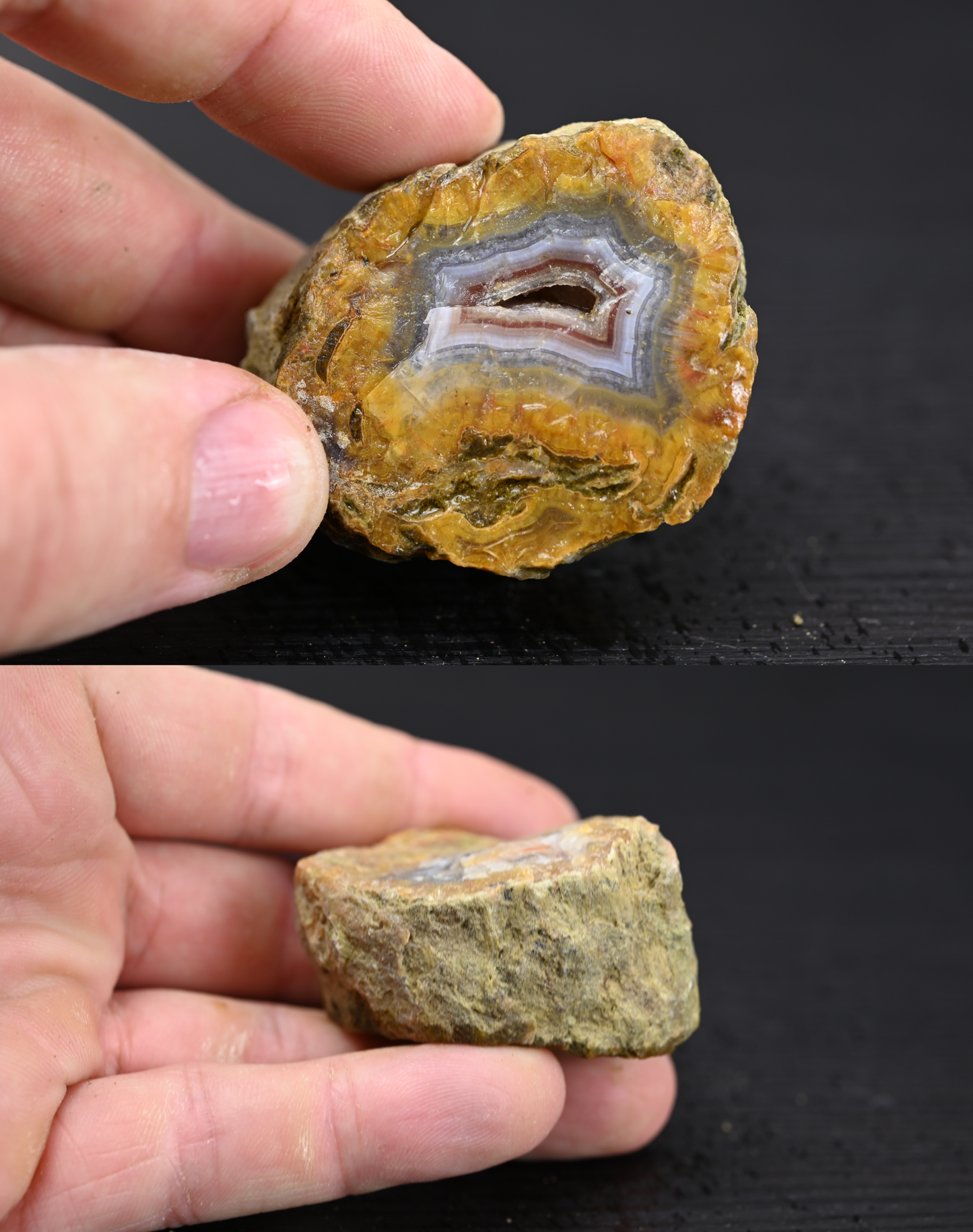 Türkisches Achatisiertes Holz für 100€ pro Stück