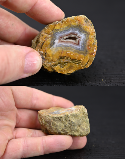 Türkisches Achatisiertes Holz für 100€ pro Stück