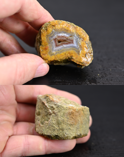 Türkisches Achatisiertes Holz für 100€ pro Stück