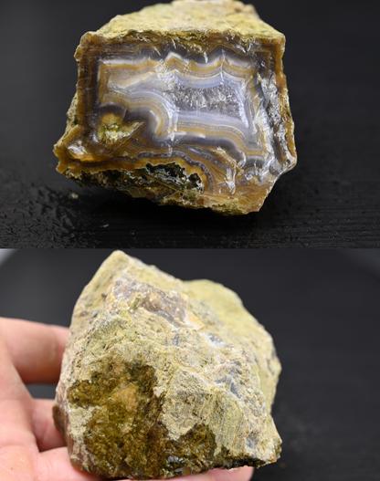 Türkisches Achatisiertes Holz für 100€ pro Stück