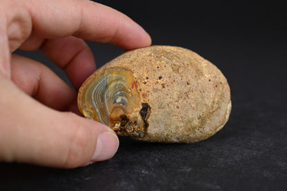 Island Agate
