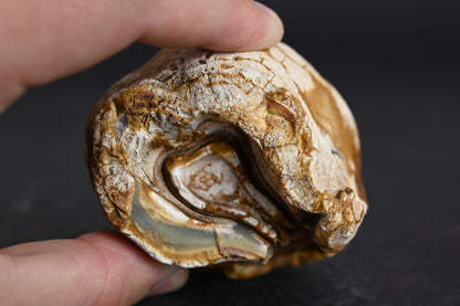 Island Agate