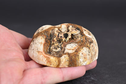 Island Agate
