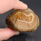 Island Agate
