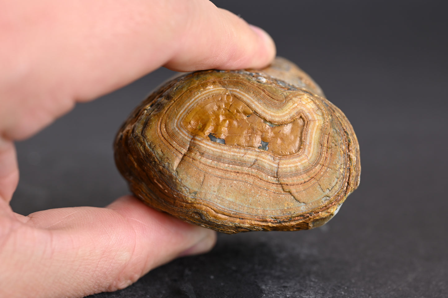 Island Agate