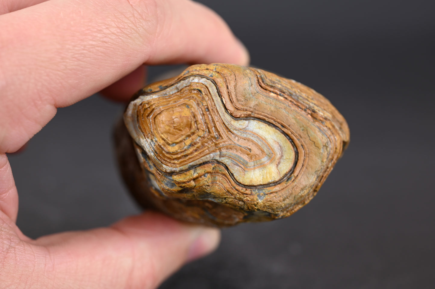 Island Agate